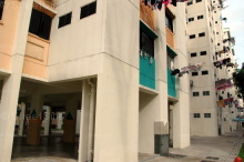 Blk 217 Petir Road (Bukit Panjang), HDB 4 Rooms #212502